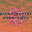 Experimental Ambient Downtempo NFT collection